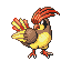 Pidgeotto gen3